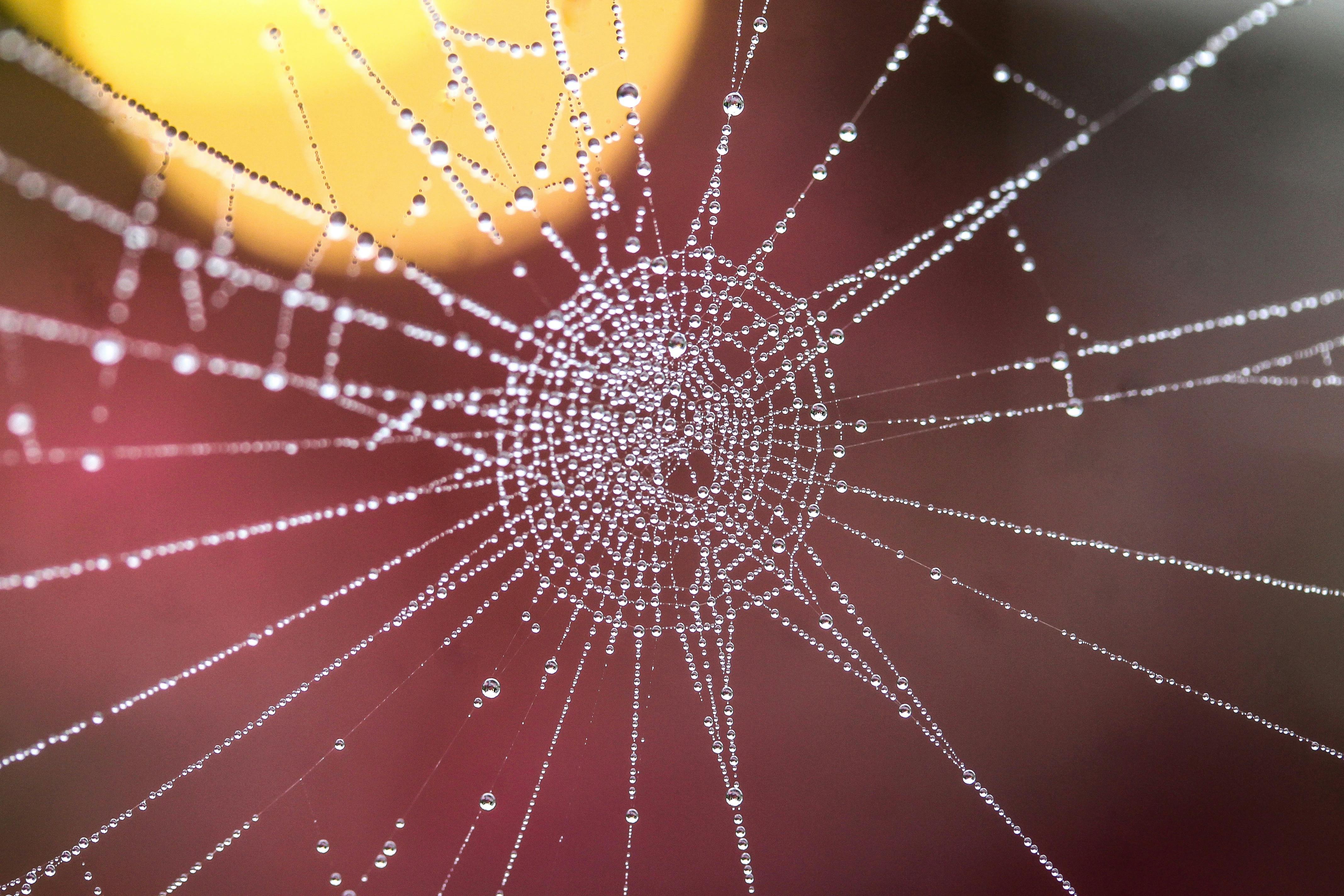 Strength in connection
